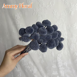 AM-PFKC06 Ammy 20 Têtes <span class=keywords><strong>de</strong></span> Fleurs Dorées Naturelles Billy Balls, Fleurs Préservées, Matériaux Bruts DIY, Décoration d'Intérieur, Véritables Boules Dorées Éternelles - Product Image 4