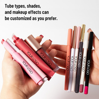 Ensemble de produits pour les lèvres personnalisable avec gloss, crayon à lèvres et huile en ensembles 2 en 1 et 3 en 1 pour un mélange et un assortiment personnalisés avec logo