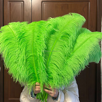 28-30 pouces 70-75 cm grandes plumes d'autruche afrique du sud plumes d'autruche pour décorations de mariage fête événement carnavals