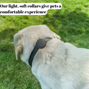 PU ajustable perro aire etiqueta titular <span class=keywords><strong>Collar</strong></span> cuero mascota <span class=keywords><strong>Collar</strong></span> con AirTag titular - Product Image 6