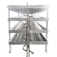Système de culture verticale en serre hydroponique extérieure avec tables à bac à eau en PVC surdimensionnées personnalisées, système de bancs roulants à flux et reflux
