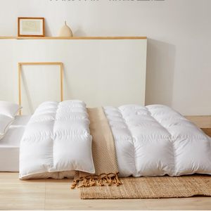 Tùy Chỉnh Dày Bốn Mùa Mền Ấm Thở Thân Thiện Với Môi Bộ Đồ Giường Cored Duvets <span class=keywords><strong>Comforters</strong></span> Cho Nữ Hoàng Kích Thước Khách Sạn - Product Image 3