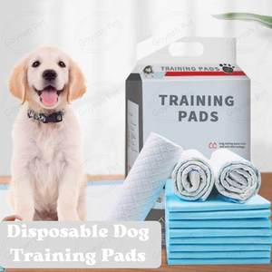 Almohadillas desechables de absorción rápida para entrenamiento de perros, paquete personalizado de almohadillas para orina de cachorros - Product Image 2