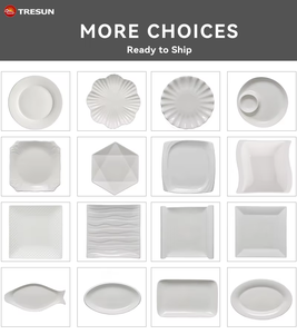 Multi-Occasion Kitchen Custom Logo Ceramic Plate <b>Set</b> <b>White</b> Embossed Porcelain <b>Dinner</b> <b>Set</b> - Product Image 6