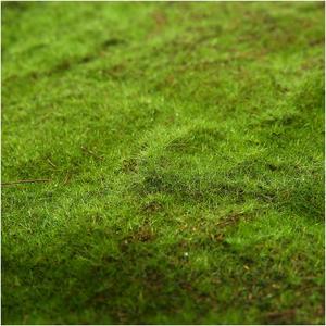 หญ้าเทียมแบบถอดได้ เป็นมิตรกับสิ่งแวดล้อม ตกแต่งสวนสไตล์โมเดิร์น <span class=keywords><strong>ดอกไม้</strong></span><span class=keywords><strong>แห้ง</strong></span>หรูหรา ของตกแต่งบ้านแบบแขวน - Product Image 2