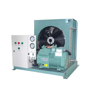 Factory Refrigeration & Heat Exchange Equipment Blast Freezer Compressor Condensing Unit for Cold room