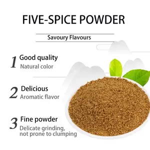 Factory Supply High Quality 5 Spices Powder Dried Seasonings 5 Spice Powder At Good Prices