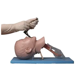 医学先进儿童气管插管模型儿童气道人体模型GD/J16