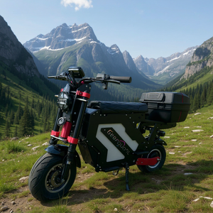 Scooter électrique tout-terrain 2025 USA 14 pouces avec écran numérique NFC 72V 10000W 50Ah batterie amovible double moteur - Product Image 1