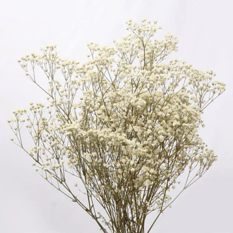 Hfloral 100G/Bunch Gypsophila Flower Dried High Quality White Preserved Babys Breath Million Star Bouquet For Wedding Home Val