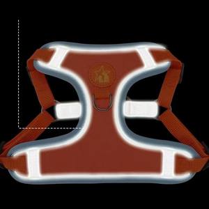 पुडा विस्फोटक पालतू छाती ब्रेस चिंतनशील सुदे फीता कुत्ते रस्सी लीड बनियान प्रकार छोटे कुत्ते का उपयोग करते हैं - Product Image 6