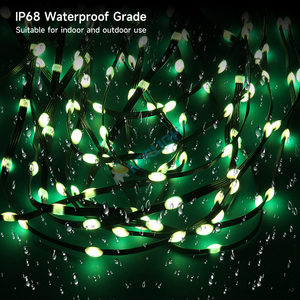 Giấc Mơ Màu rgbic địa chỉ dẫn chuỗi đèn 12V ws2811 WS2812 3pin rõ ràng ống kính cá nhân Cổ tích hạt giống ánh sáng giáng sinh - Product Image 4