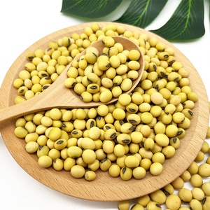 Đậu tương vàng giàu protein vụ 2022 của Trung Quốc dùng làm thức ăn chăn nuôi - Product Image 5