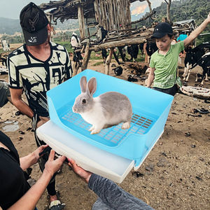 Litière écologique pour lapins et petits animaux (chinchilla, <span class=keywords><strong>furet</strong></span>, galesaur, hérisson) - Matériau polyester - Product Image 3