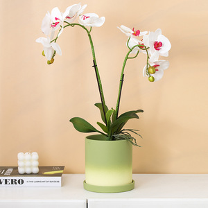 Maceta de Plástico P375 para Suculentas, Orquídeas, Bambú, Cambio Gradual, Simple, Grande, Creativa, Personalizada, <span class=keywords><strong>Epipremnum</strong></span> <span class=keywords><strong>Aureum</strong></span>, Phalaenopsis - Product Image 4