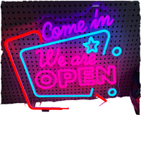 Écran LED transparent personnalisé, enseigne au néon, lumière nocturne, logo décoratif pour salle de jeux, décoration de magasin, corps en silicone, néon LED