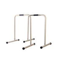 Station de gymnastique japonaise, barres parallèles, pour entraînement de Fitness, avec barres de trempage