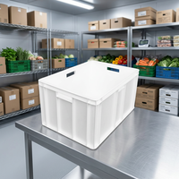 Caixa Plástica Grande de HDPE LAR CAS2050 58L, Empilhável, para Logística de Alimentos