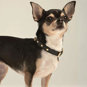 Perhiasan mewah kerah sabuk anjing dihias dengan desain keling kerah hewan peliharaan dapat diatur tahan lama untuk mode anjing bergaya dan keamanan - Product Image 3
