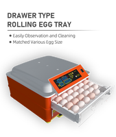 Incubateur et couveuse automatique, incubateur pour ufs/équipement de fermeture
