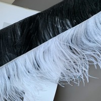 Plumes d'autruche teintées et lavées, directement de l'usine, pour robes de haute couture, garnitures en dentelle, accessoires vestimentaires et tenues de danse de performance