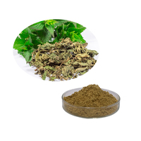 Poudre d'extrait de racine d'ortie bio de vente chaude 1% poudre de bêta sitostérol
