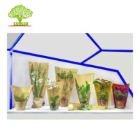 Manchon d'emballage d'herbes fraîches de culture hydroponique, de basilic, de laitue, de légumes, personnalisé en usine