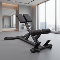 Chaise romaine d'hyperextension pliable en métal durable OEM/ODM unisexe pour entraînement commercial de fitness, capacité de charge élevée 45 kg