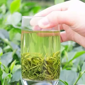 2024 New Green Tea In Market Healthy And Organic Guizhou Grain Rain Maojian Slimming Green Tea