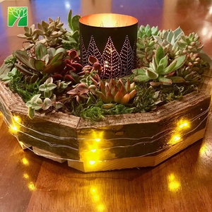 Kit de cadre de succulente pour guirlande de décoration intérieure en vente en gros pour jardin avec <span class=keywords><strong>fleurs</strong></span> artificielles produit agricole à prix économique - Product Image 3