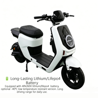 Promotion : Moto électrique cargo 48V/60V avec moteur brushless 1000W, double porte-bagages, pour livraison de repas et coursiers