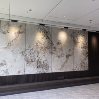 Panneau mural en placage de bois de bambou et de charbon de bois de marbre PET de haute qualité fabriqué en Chine par Baijax pour la décoration intérieure