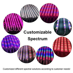 Лидер продаж, LM301H Evo <span class=keywords><strong>Mars</strong></span>, гидравлическая Светодиодная лампа для роста, эффективная лампа для выращивания растений в помещении - Product Image 4