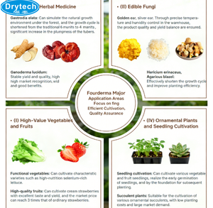 Cabina de Cultivo de Hongos - <span class=keywords><strong>Serie</strong></span> DT, Cabina Inteligente para Cultivo de Hongos Comestibles de Alta Eficiencia - Product Image 5