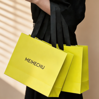 Sacs en papier d'art écologiques haut de gamme personnalisés, recyclables, avec laminage mat et doublure en éponge pour sacs à main pour femmes - Emballage cadeau