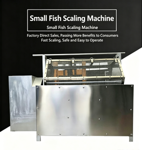 Máquina para Quitar Escamas de Pescado Pequeño, Desescamador Comercial Totalmente Automático para Sardinas y Carpas <span class=keywords><strong>Crucianas</strong></span> - Product Image 3