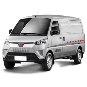 Pure Van Cargo camions véhicules à énergie nouvelle voitures Ev 50 Mini siège électrique Wuling Cargo Van