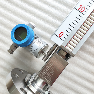 Indicateur de niveau magnétique latéral en acier inoxydable, construction IP65, précision 1 %, options personnalisables pour le niveau d'eau magnétique - Product Image 1