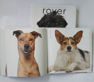 Stampa di libri fotografici con copertina rigida per cani carini - Product Image 4