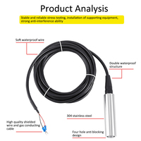Sonde 16-21,5 mm 4-20 mA Piezomètre hydrostatique en acier inoxydable Capteur de niveau d'eau submersible Transmetteur pour puits profond