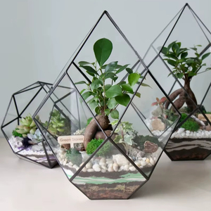 Khaleesi זכוכית terrarium תפאורה מינימליסטי סלון סיר מתנה לבית חדש או חג המולד עבור תפאורה לחג - Product Image 1
