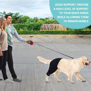 Tutore per gamba del cane ortopedico in Neoprene per Pet supporto per le ginocchia Pet protettore per il recupero delle gambe tutore per il guinzaglio del cane riduce il dolore articolare ginocchiera del cane - Product Image 6