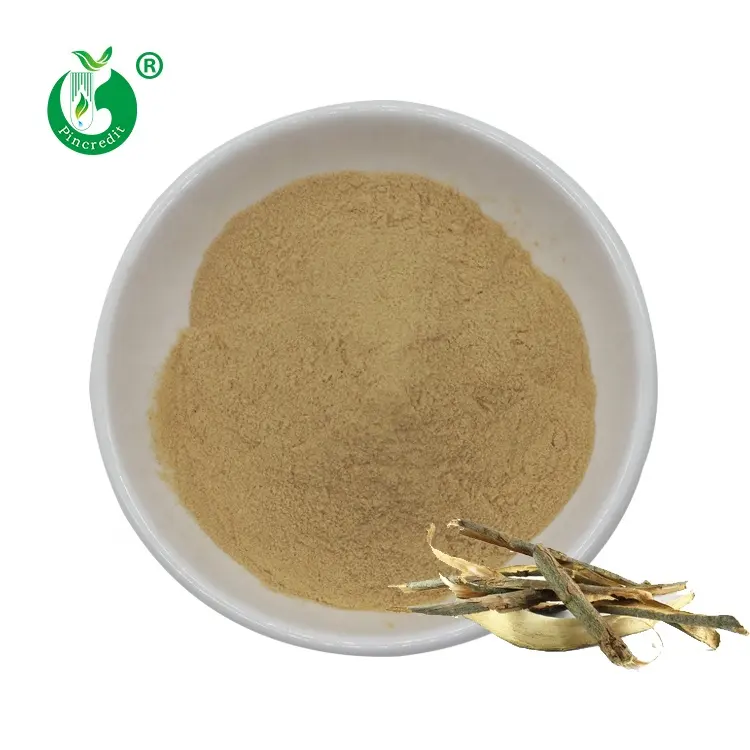 98% ISO Factory Supply White Willow Bark Extract Salicin