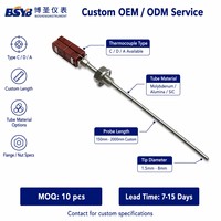 BSYB Precision Dual-Core C Type Thermocouple 0~2300 deg C +/-1% Molybdenum Tube Industrial Temperature Sensor