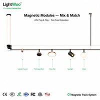 Système d'éclairage linéaire modulaire magnétique Baron extensible DIY 5 mm ultra-fin 48 V pour salon, cuisine, bureau, carré, hexagone