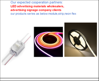 Ruban LED néon en silicone haute luminosité IP65 6x12mm DC12V avec télécommande USB, intensité réglable, pour décoration murale domestique, certifié CE