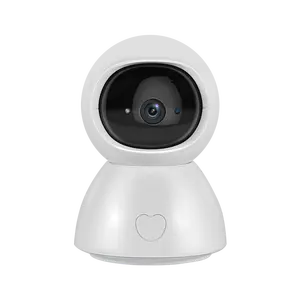 Sectec New Product HD 4MP Smart Security Wireless Camera One-key Calling TUYA 5G CCTV Baby Monitor Camera