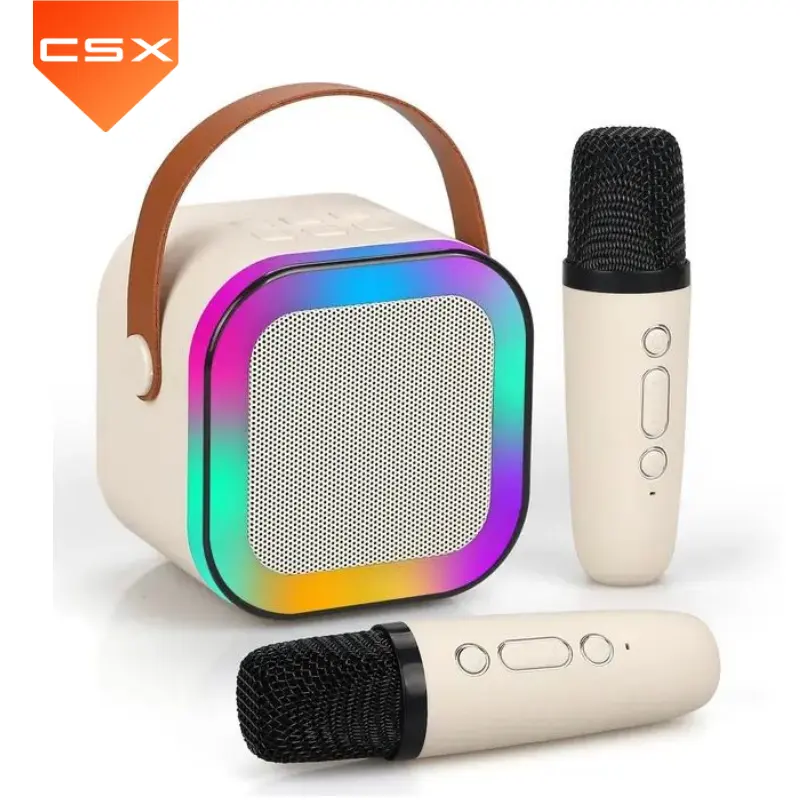 Vendita calda al coperto portatile Mini altoparlante senza fili Karaoke con microfono per feste e canto