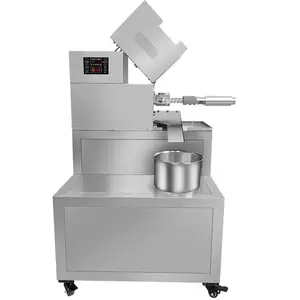 China supplier two filter cold press coconut oil machine with screw