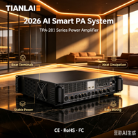 Amplifier PA Tianlai TPA-201 Rak Mount dengan Sistem AI Cerdas 2026, Pemutar MP3 USB SD, Kontrol Independen untuk Grosir Bangunan